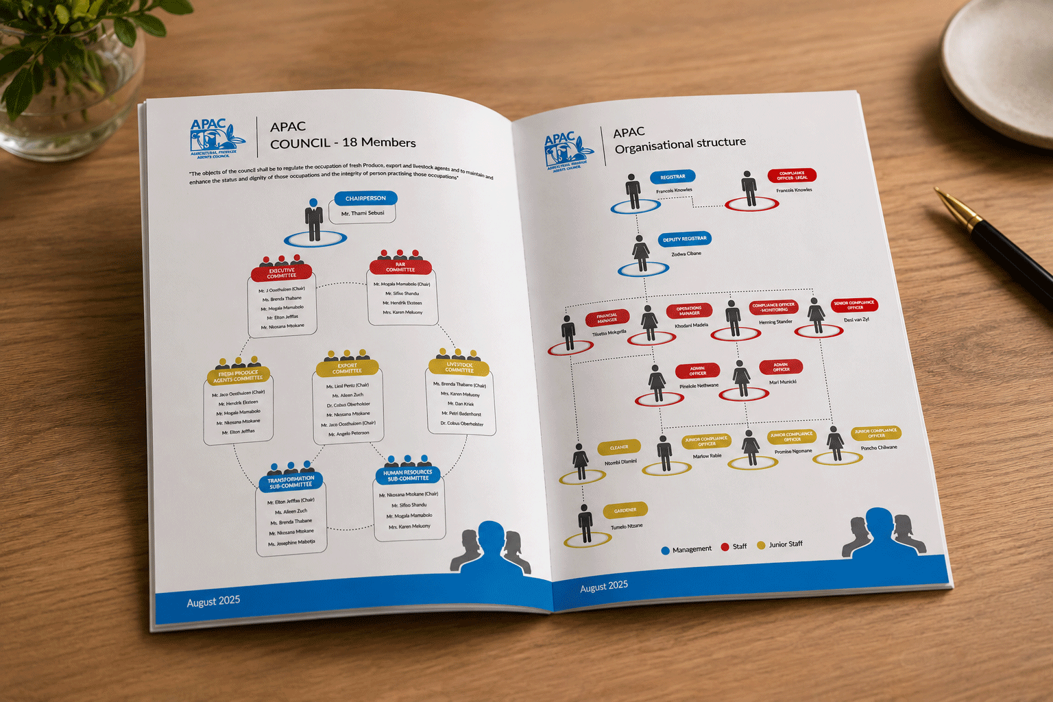 APAC infographic design