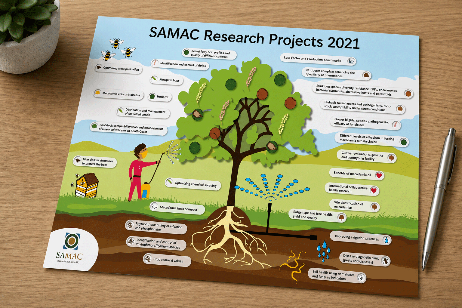 APAC infographic design
