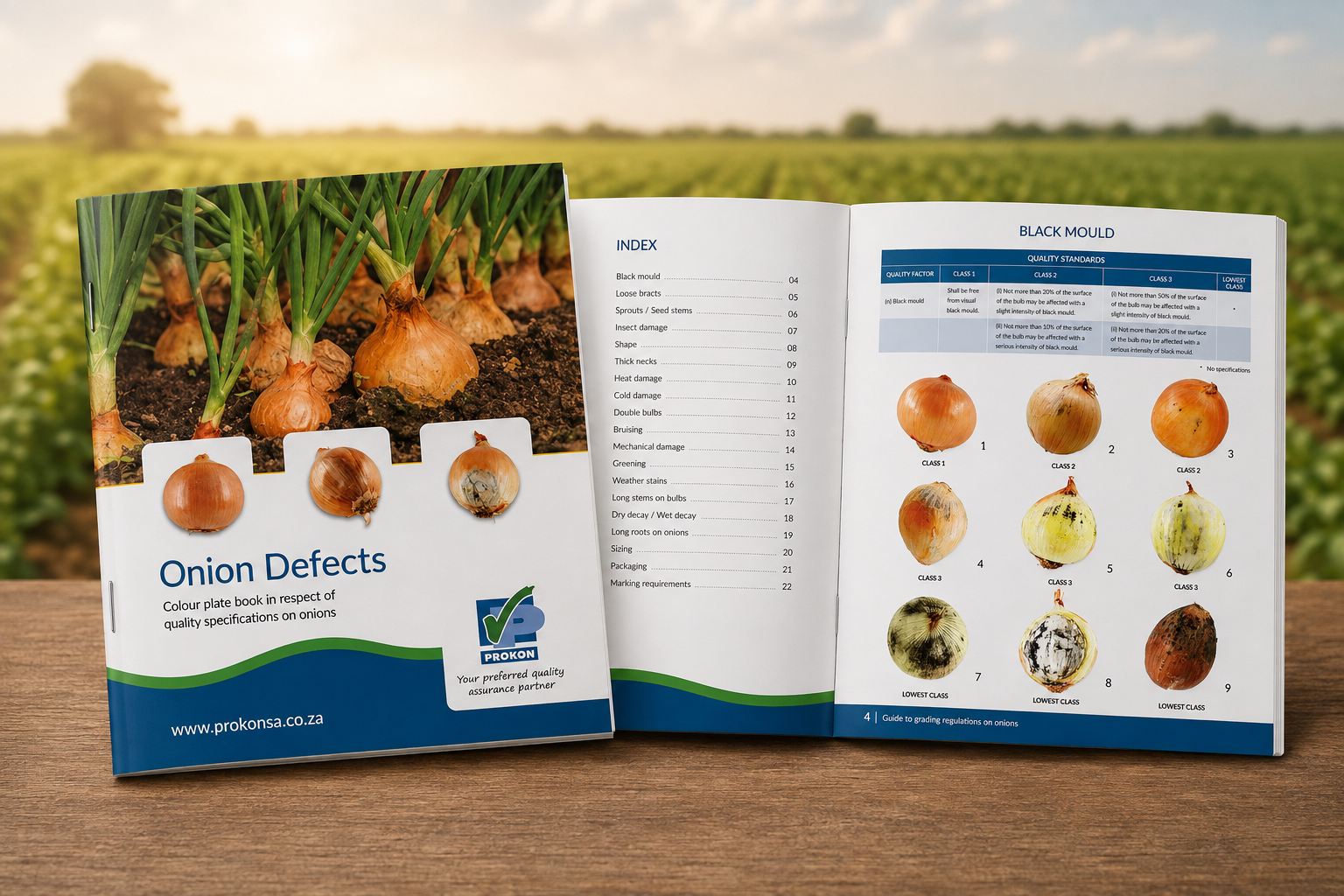 PROKON Onion Defects guide